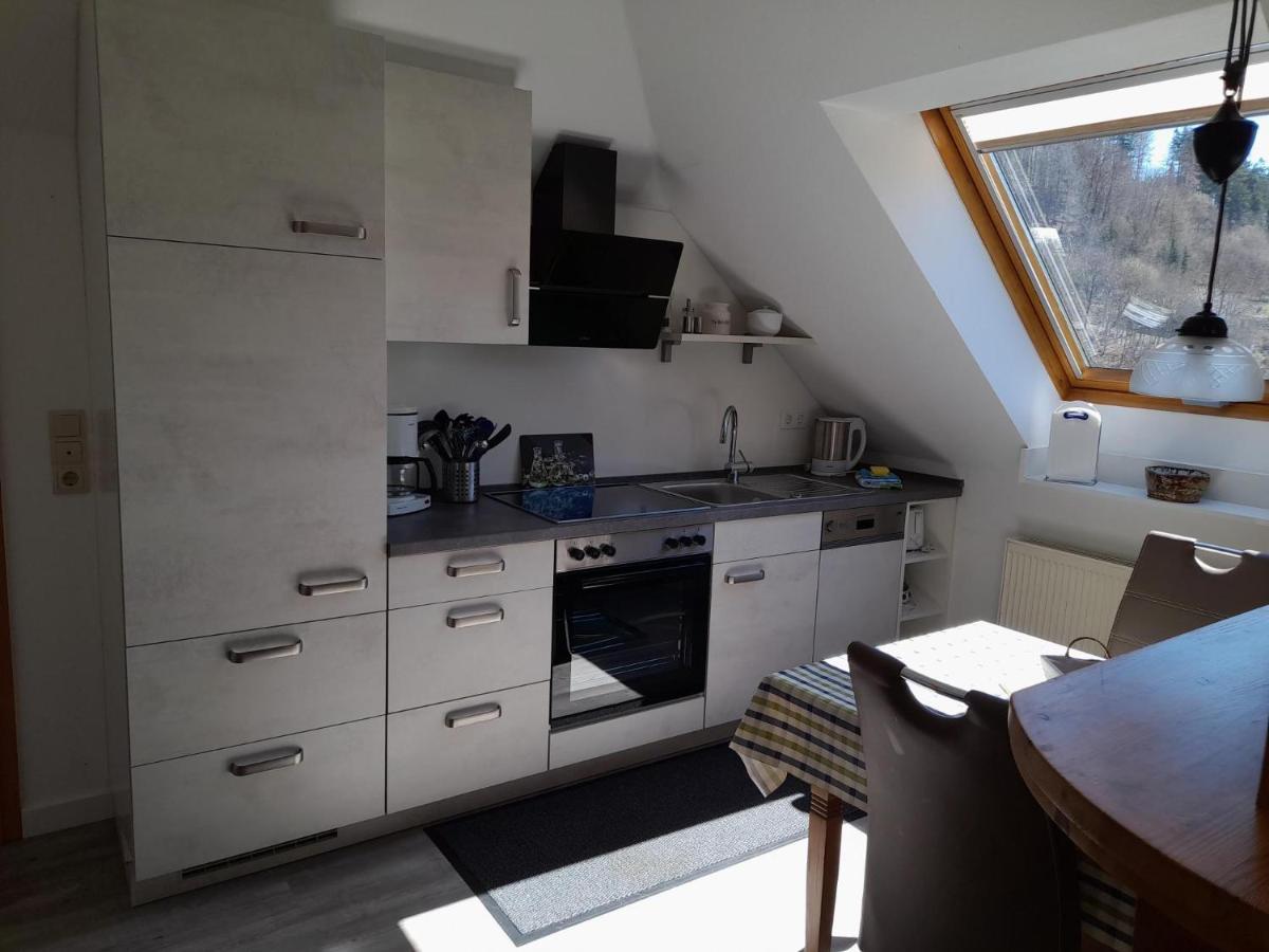 Haus Elsholz Willingen Apartment Вилинген Екстериор снимка