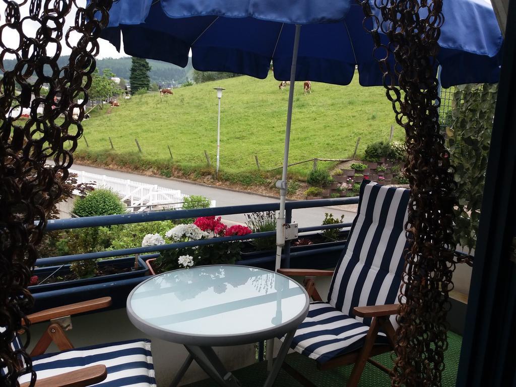Haus Elsholz Willingen Apartment Вилинген Екстериор снимка